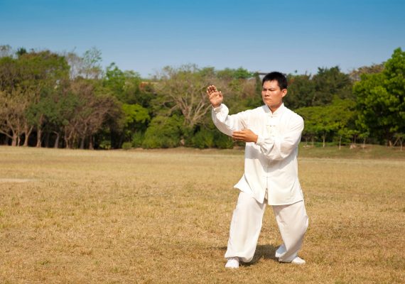 Saiba tudo sobre o estilo Louva-a-Deus no Kung Fu