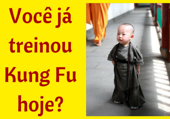 voce ja treinou kung fu hoje