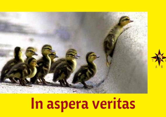 Kung Fu In aspera veritas