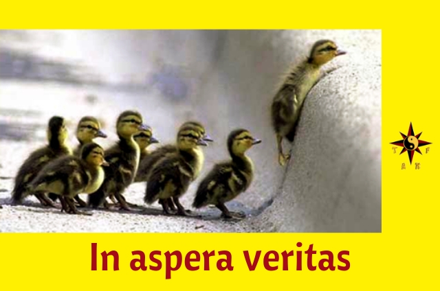 Kung Fu In aspera veritas