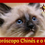 O Horoscopo Chinês e Gato