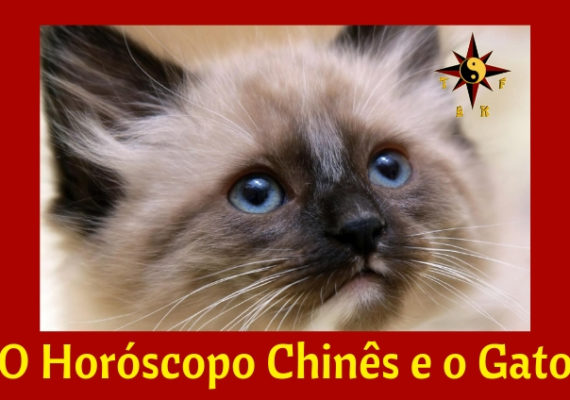 O Gato e o Horóscopo Chinês