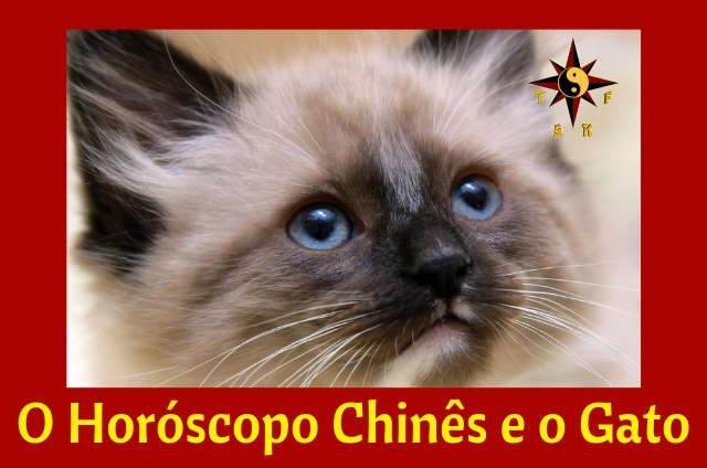 O Gato e o Horóscopo Chinês