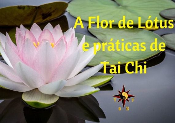 A Flor de Lótus e Práticas de Tai Chi