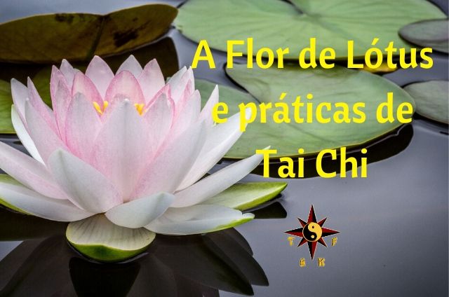 A Flor de Lótus e Práticas de Tai Chi