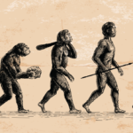 A Lei da Evolução