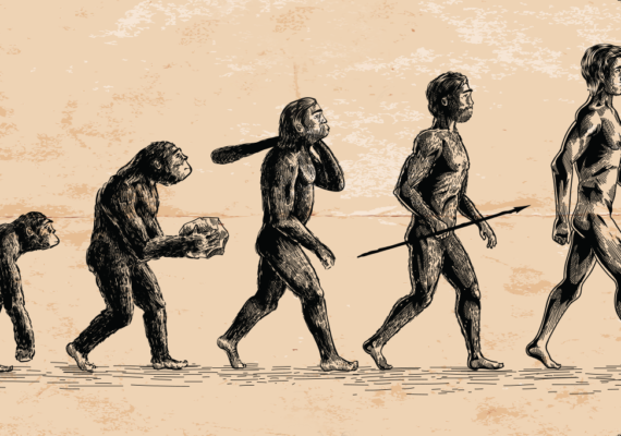 A Lei da Evolução