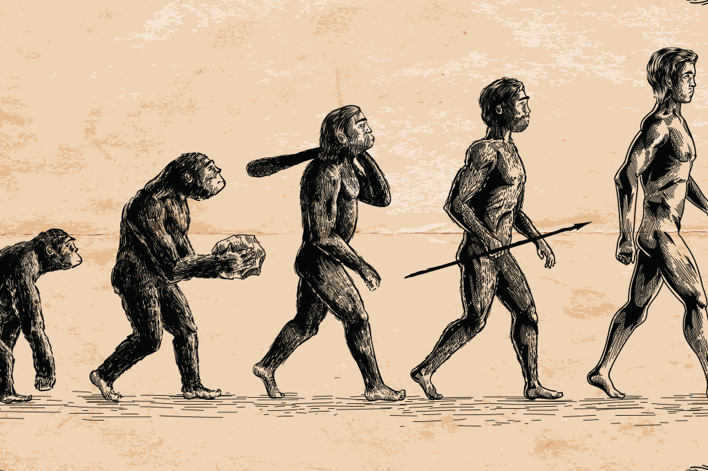A Lei da Evolução