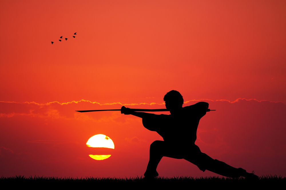 Quais são as principais regras do Kung Fu? Aprenda aqui!