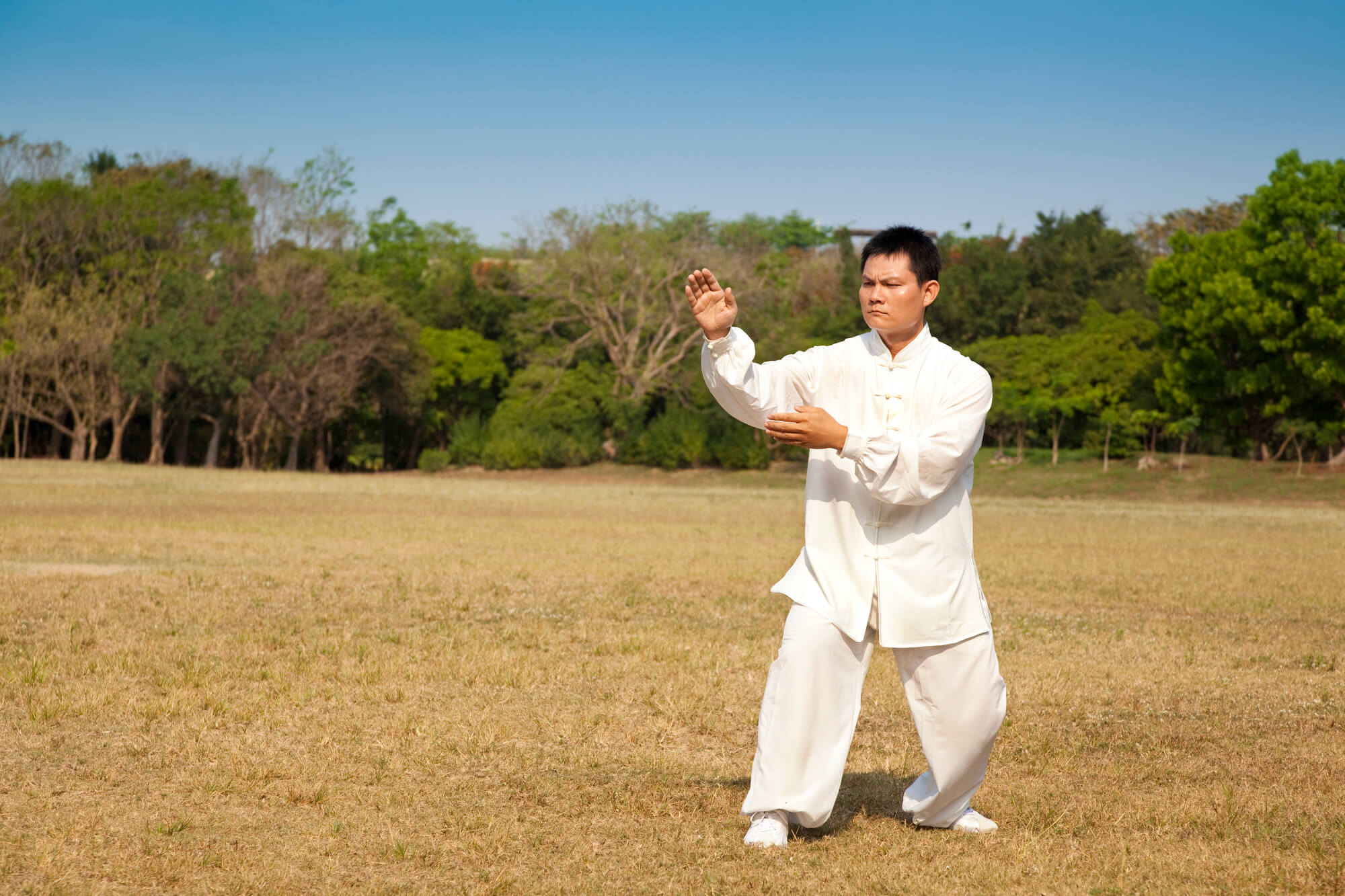 Saiba tudo sobre o estilo Louva-a-Deus no Kung Fu