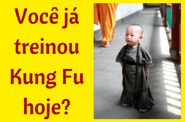 voce ja treinou kung fu hoje