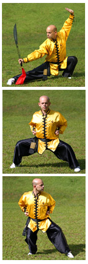 Sifu Gabriel